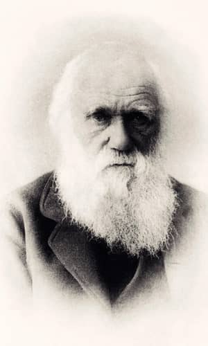 Friedrich Engels Introduced Darwin to Karl Marx and Changed the World