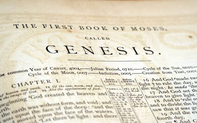 Genesis