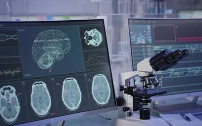 What Makes Us Human, and Why It Is Not the Brain: A Creationist Defense of the Soul